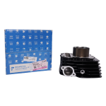Kit Cilindro DISCOVER 125 +/SPORT MN Bajaj (36JZ0024)