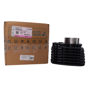 KIT CILINDRO BOXER CT 100 Bajaj (DU101218)