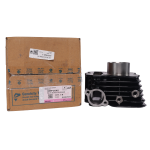 KIT CILINDRO BOXER CT 102 (36PF0045)